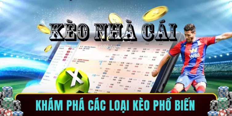 Khám phá các loại kèo phổ biến