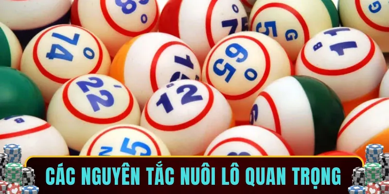 Các nguyên tắc nuôi lô quan trọng