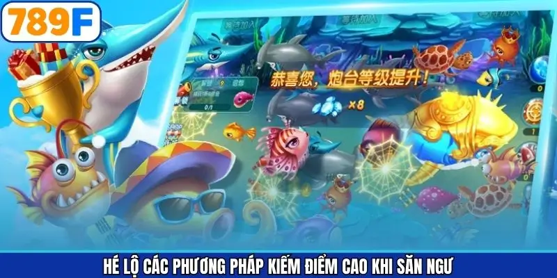 Bí quyết kiếm điểm cao khi săn ngư Bí quyết kiếm điểm cao khi săn ngư