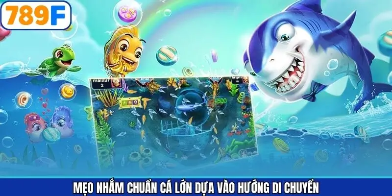 Tầm quan trọng khi áp dụng mẹo ngắm cá lớn